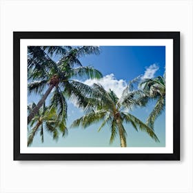 Summer Feeling Art Print