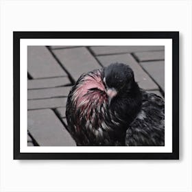 Look at me Art Print