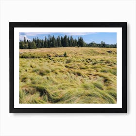 Grass hairs and nature Art Print