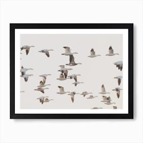 Flock Of Beach Seagulls Art Print