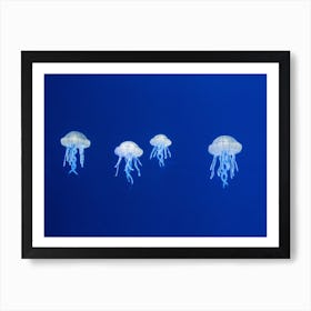 Bright Blue Floating Jellyfish Art Print
