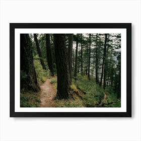 Side Trail Art Print