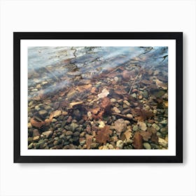 Autumn Leaves In Lake Ullswater Art Print