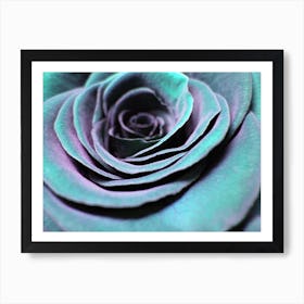 Close Up Of A Rose Art Print