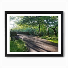 Bridge In The Woods 1 Art Print