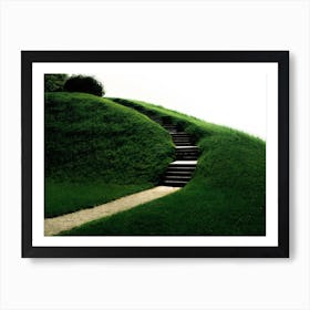 Grass Art Print