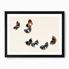 Japanese Woodblock Butterfly, Cho Senshu Art Print
