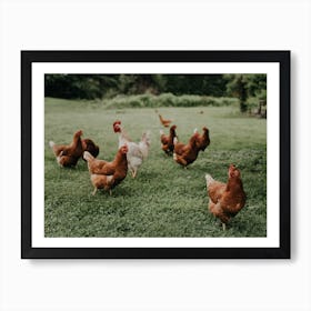 Farm Life Art Print