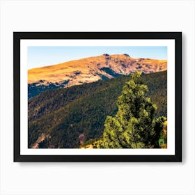 Pine Tree In The Mountains 202304171256284pub Art Print