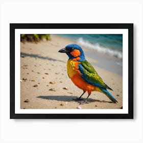 Beautiful Bird On A Sunny Beach 1 Of 3 Art Print