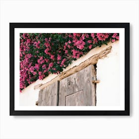 Old wooden door with Pink flowers in Eivissa // Ibiza Travel Photography Art Print