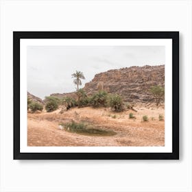 Oasis In The Desert Art Print