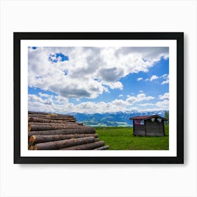 Logs In The Mountains Art Print