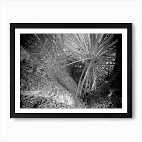 Black Cat hiding In The Tree black white Art Print