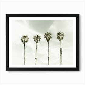 Coastal Palm Trees Art Print