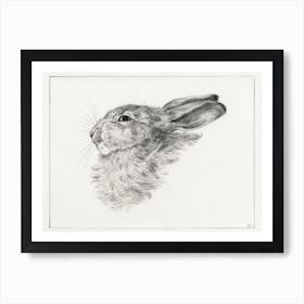 Head Of A Rabbit, Jean Bernard Art Print