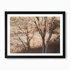 Shadow Of A Tree In The Desert Of Saudi Arabia Art Print