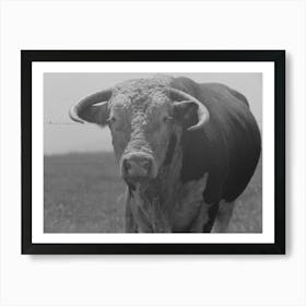 Untitled Photo, Possibly Related To Bull S Head, Cruzen Ranch, Valley County, Idaho By Russell Lee Art Print