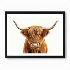 Highland Cow 2 Art Print