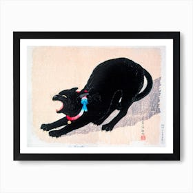 Black Cat Hissing, Hiroaki Takahashi Art Print