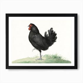 Standing Black Chicken, Jean Bernard Art Print