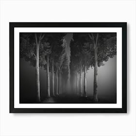 Foggy Path Art Print