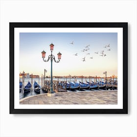 Venice Fly Art Print