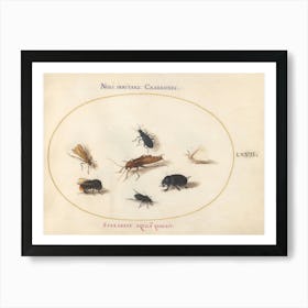 Rational Animals And Insects, Joris Hoefnagel Poster