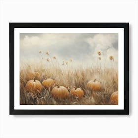 Pumpkins In The Field Affiche