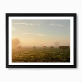 Sunrise In The Field With The Cows Art Print