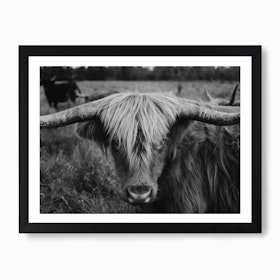 Highland Cow Black And White Art Print