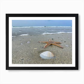 Starfish On The Beach Art Print