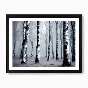 Birch Forest 102 Art Print