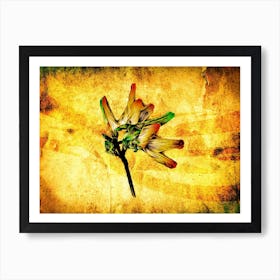 A Flower Nature Art Illustration In A Painting Style 04 Art Print