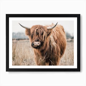 Rustic Highland Cow Art Print