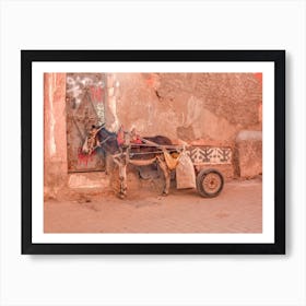 Moroccan Donkey Landscape Photography Art Print