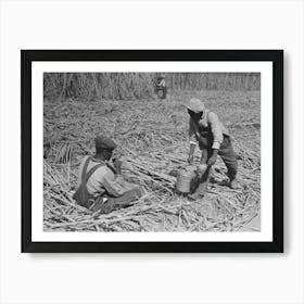Untitled Photo, Possibly Related To Sugarcane Worker Drinking Water In The Field Near New Iberia, Louisiana By Art Print