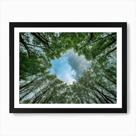 Forest Trees Art Print