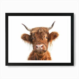 Highland Cow 8 Art Print