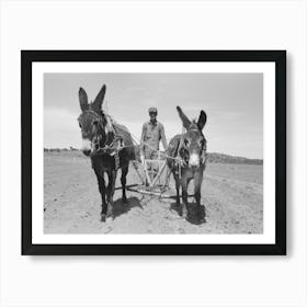 Jack Whinery Plowing With Burros And Homemade Plow, Pie Town, New Mexico By Russell Lee Art Print