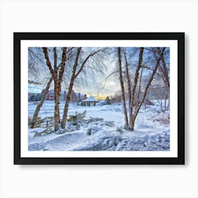 Snow Covered Trees Art Print