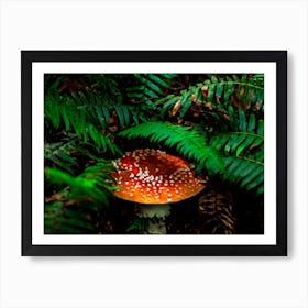 Mushroom Covered With Ferns Art Print