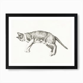 Sketch Of A Lying Cat 1, Jean Bernard Art Print