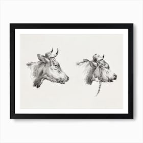 Two Bull Heads, Jean Bernard Art Print