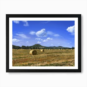 Summer field Art Print