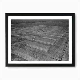Untitled Photo, Possibly Related To Migrant Camp Under Construction, Sinton, Texas By Russell Lee Art Print
