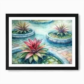 7 Bromeliads With Water Pools At Their Center (1) Art Print