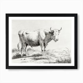 Standing Cow 6, Jean Bernard Art Print