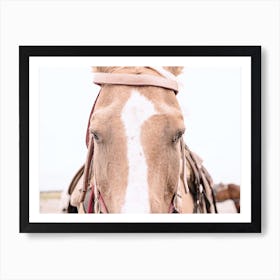 Western Horse Art Print