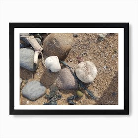 Sand And Shells Art Print